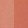 Golden Rose Iconic Blush Duo No:02 Peachy Coral 