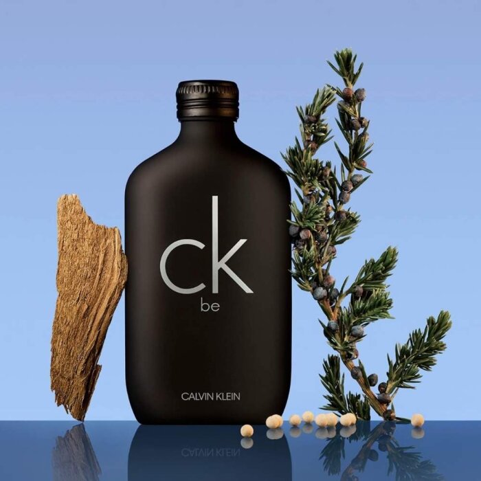 Calvin Klein Be Erkek Parfüm Edt 200 Ml - 4
