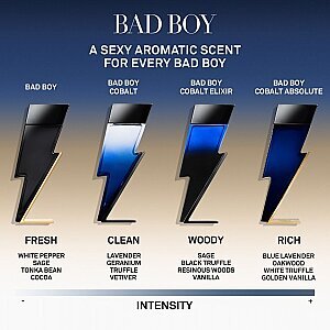 Carolina Herrera Bad Boy Erkek Parfüm Edt 100 Ml + Shower Gel 100 Ml + Edp 10 Ml Set - 3
