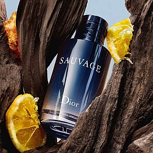 Dior Sauvage Erkek Parfüm Edt 60 Ml | Kağan Parfümeri