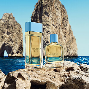 Dolce & Gabbana Light Blue Pour Homme Edp 100 Ml - 8