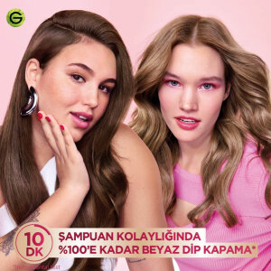 Garnier Color Shampoo 4.0 - 2