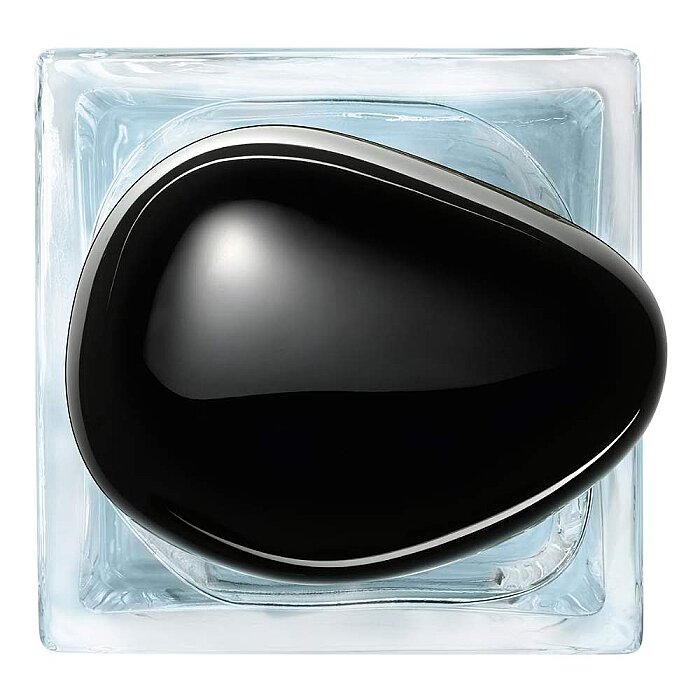 Giorgio Armani Prive Vetiver Unisex Parfüm Edt 100 Ml - 4