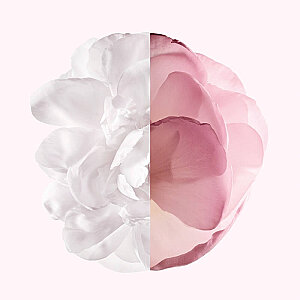 Givenchy Irresistible Very Floral Kadın Parfüm Edp 50 Ml - 3