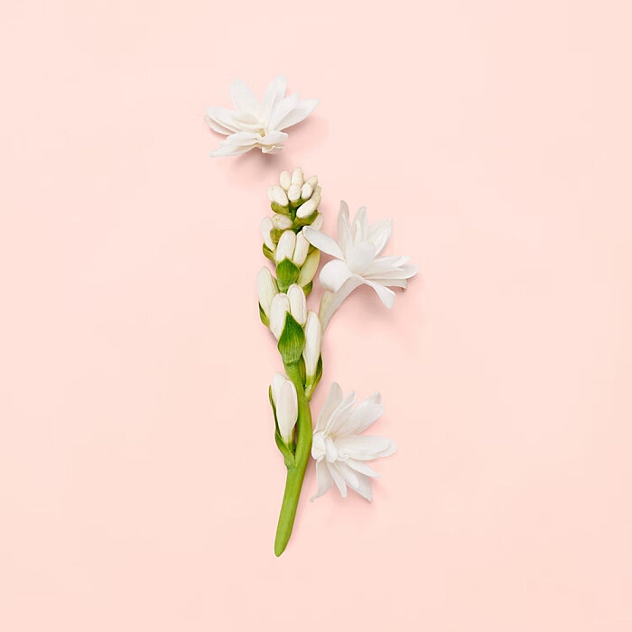 Gucci Bloom Kadın Parfüm Edp 100 Ml - 5