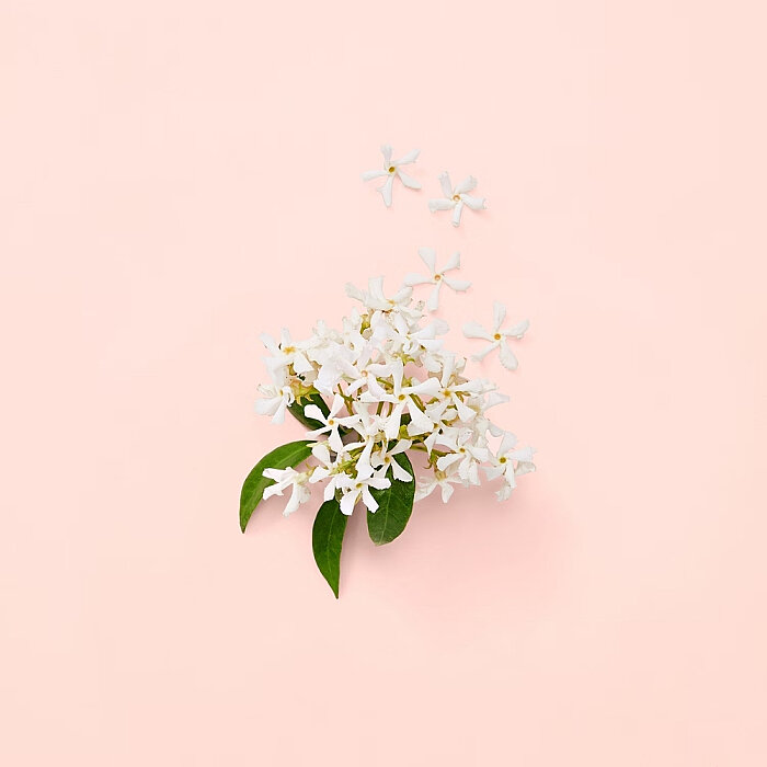 Gucci Bloom Kadın Parfüm Edp 50 Ml - 6