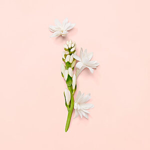 Gucci Bloom Kadın Parfüm Edp 50 Ml - 5