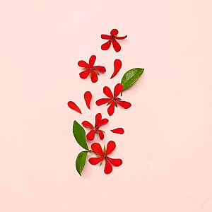 Gucci Bloom Kadın Parfüm Edp 50 Ml - 4