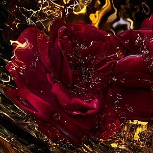 Guerlain Rose Amira Unisex Parfüm Edp 125 Ml - 3