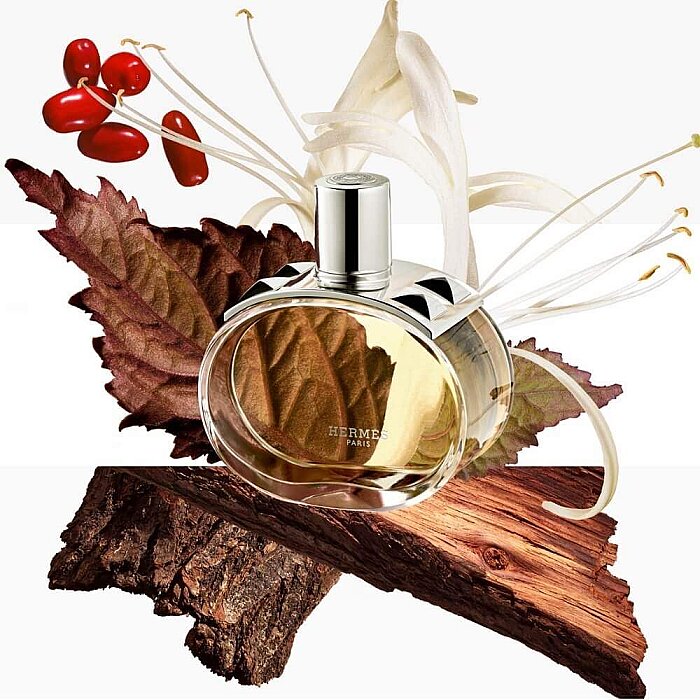 Hermes Barenia Body Cream 200 Ml Nemlendirici Krem Hermes