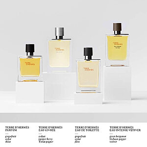 Hermes Terre D'Hermes Eau Intense Vetiver Erkek Parfüm Edp 100 Ml - 4