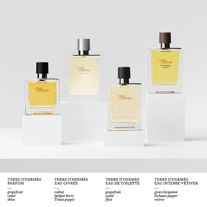 Hermes Terre D'Hermes Eau Intense Vetiver Erkek Parfüm Edp 100 Ml - 4