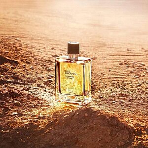 Hermes Terre D'Hermes Eau Intense Vetiver Erkek Parfüm Edp 200 Ml - 3