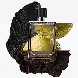 Hermes Terre D'Hermes Erkek Parfüm Edp Intense 50 Ml - 3