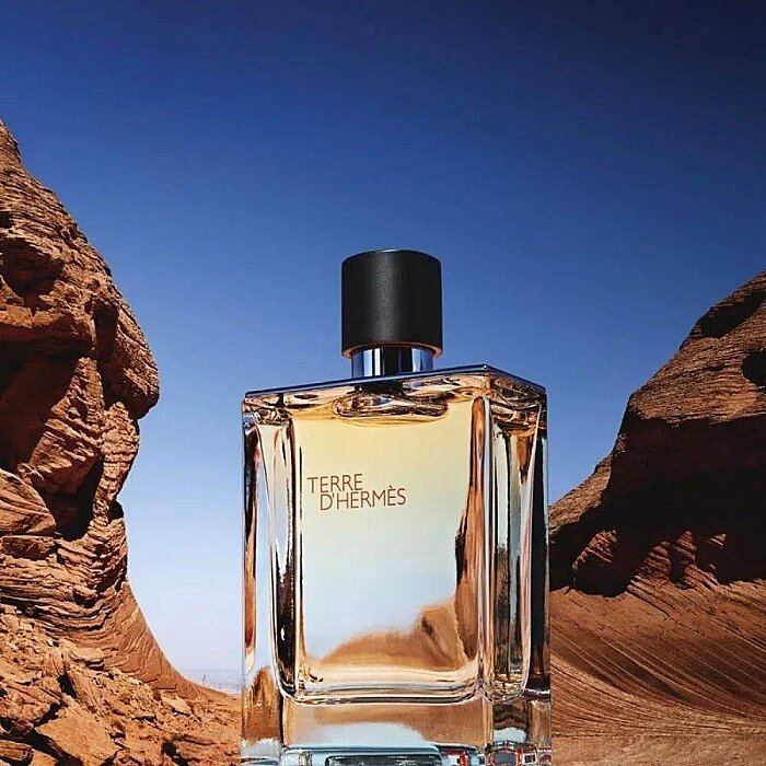 Hermes Terre D'Hermes Erkek Parfüm Edt 200 Ml - 3