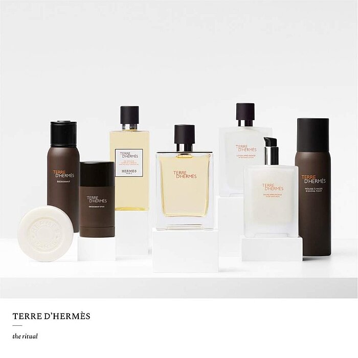 Hermes Terre D'Hermes Erkek Parfüm Edt 200 Ml - 5