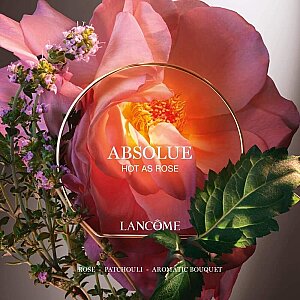 Lancome Absolue Hot As Rose Kadın Parfüm Edp 100 Ml - 4