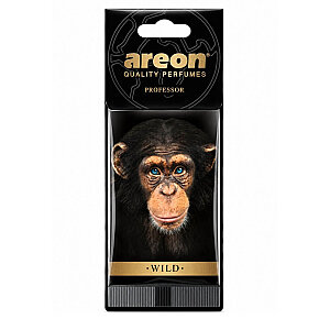 Nefes Areon Wild Professor Oto Araç Kokusu - 1