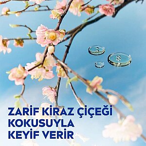 Nivea Kiraz Çiçeği&Jojoba Yağı Body Lotion 400 Ml - 3