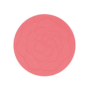 Pastel Show Your Happiness Blush 202 - 2