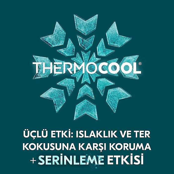 Rexona Men Thermocool Deo Spray 150 Ml - 3