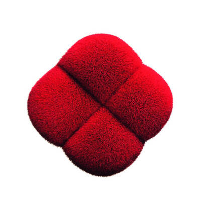 Shiseido Hanatsubaki Hake Polishing Face Brush - 2