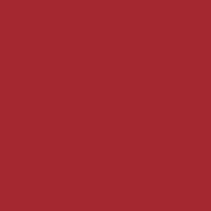 YSL Rouge Pur Couture Lipstick R8 - 4
